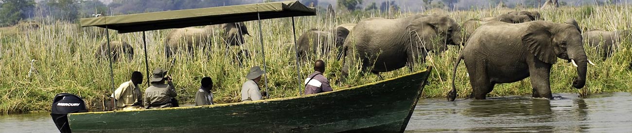 Superior Malawi Safari